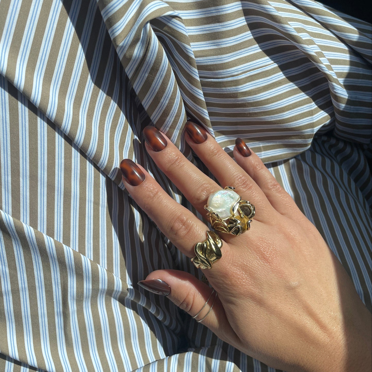 Tortoise Shell